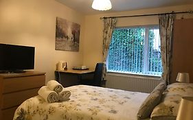 Ashfield Bed & Breakfast